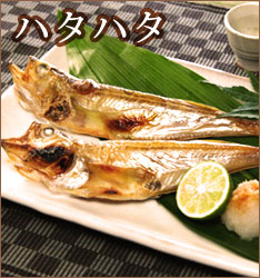 季節のお勧め商品その一